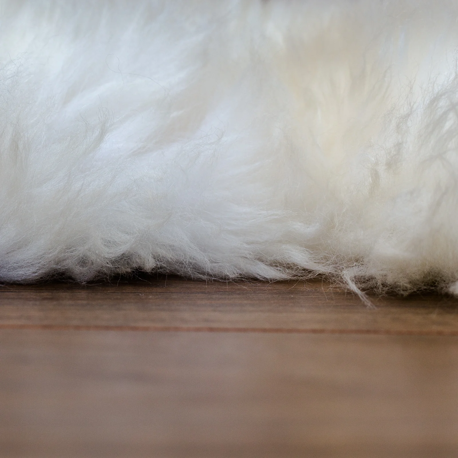 sheepskin_rug_sheep.style__MG_2416.jpg