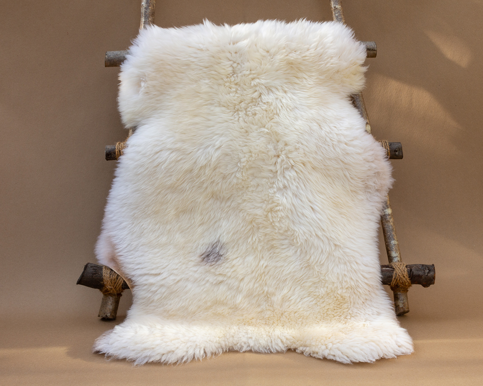 sheepskin_grey-spot-140_sheep.style_NT4A1064.jpg