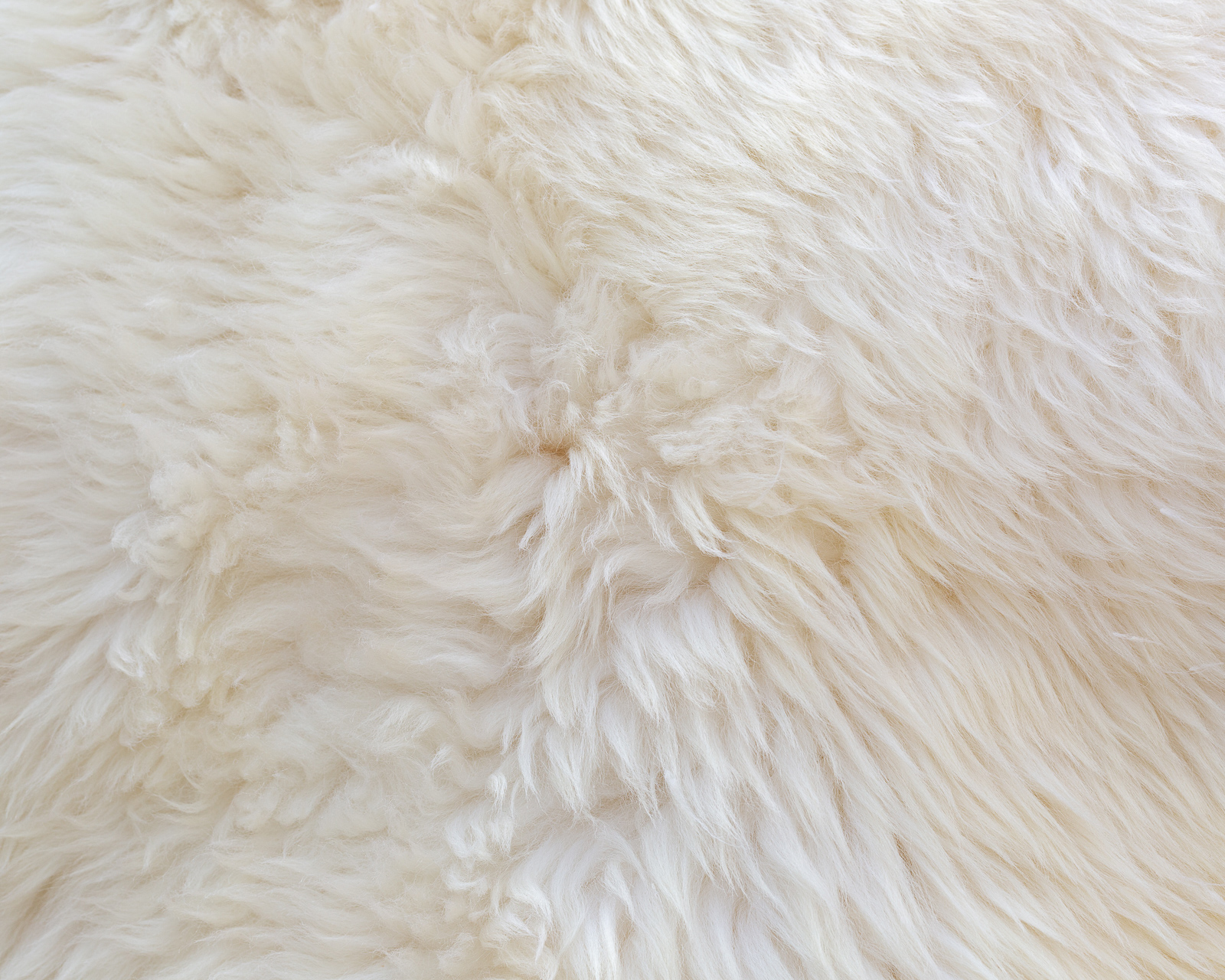 sheepskin_grey-spot-140_sheep.style__MG_9420.jpg