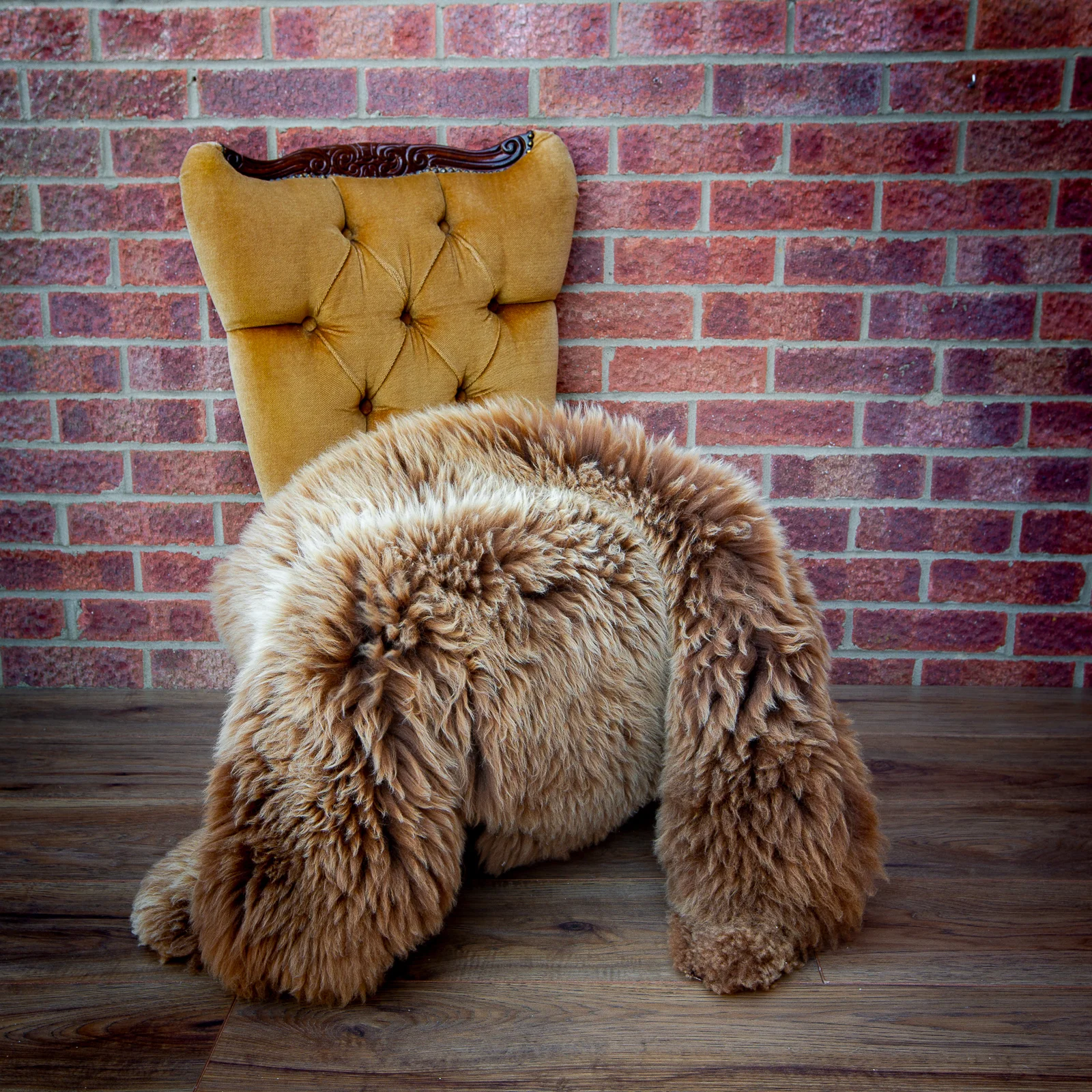 sheepskin_rug_sheep.style_LBR_32NT4A6917.jpg