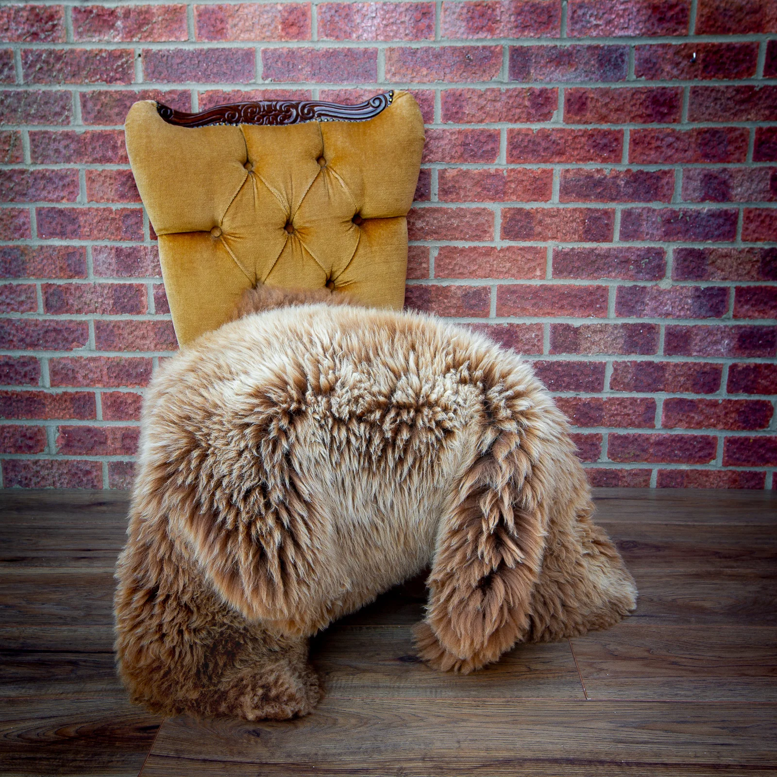 sheepskin_rug_sheep.style_LBR_32NT4A6918.jpg
