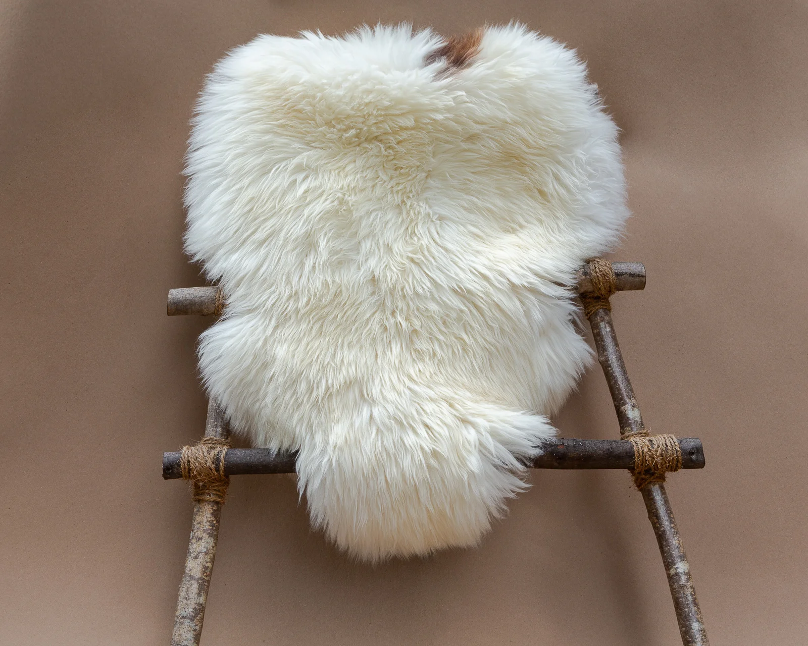 sheepskin_PL-02_sheep.style_NT4A0742.jpg