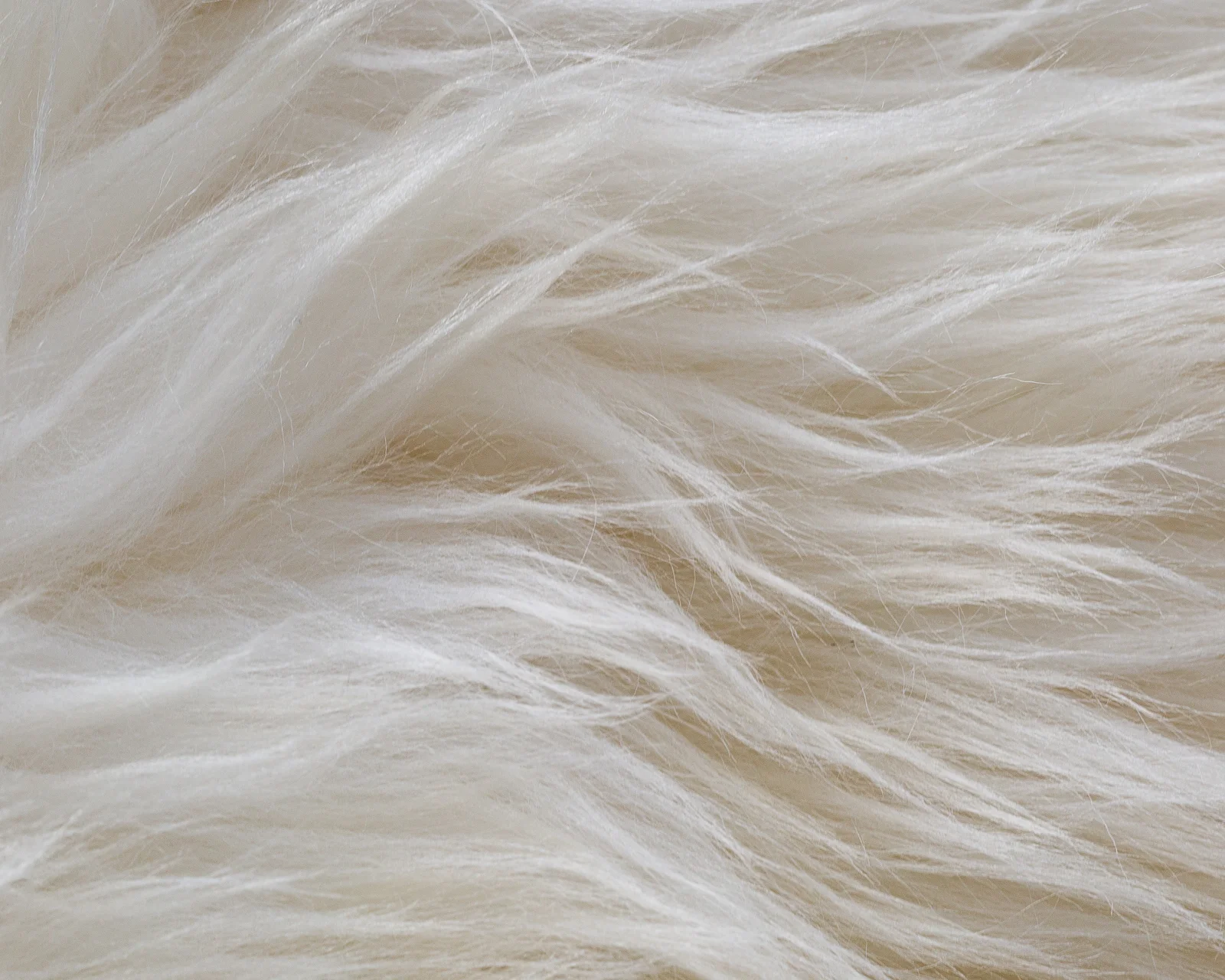 sheepskin_PL-02_sheep.style__MG_9927.jpg