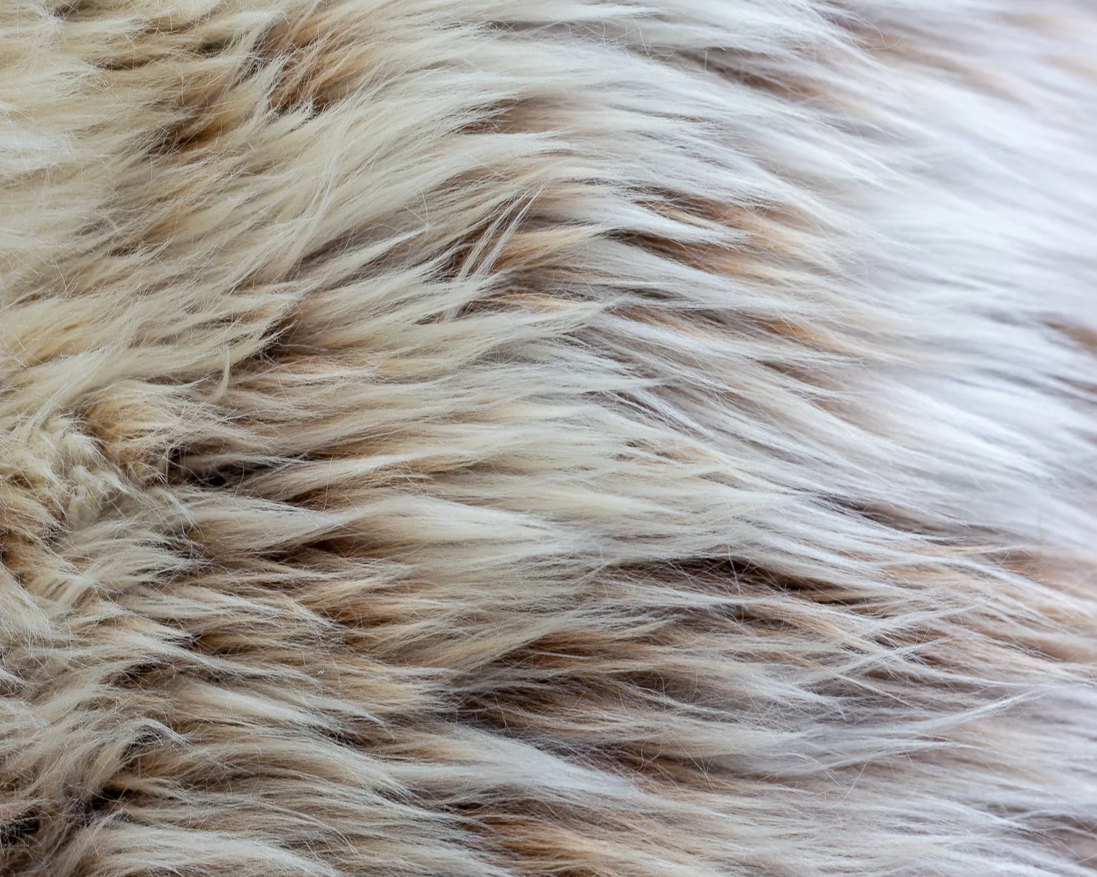 sheepskin_SZ-07_sheep.style__MG_9942.jpg