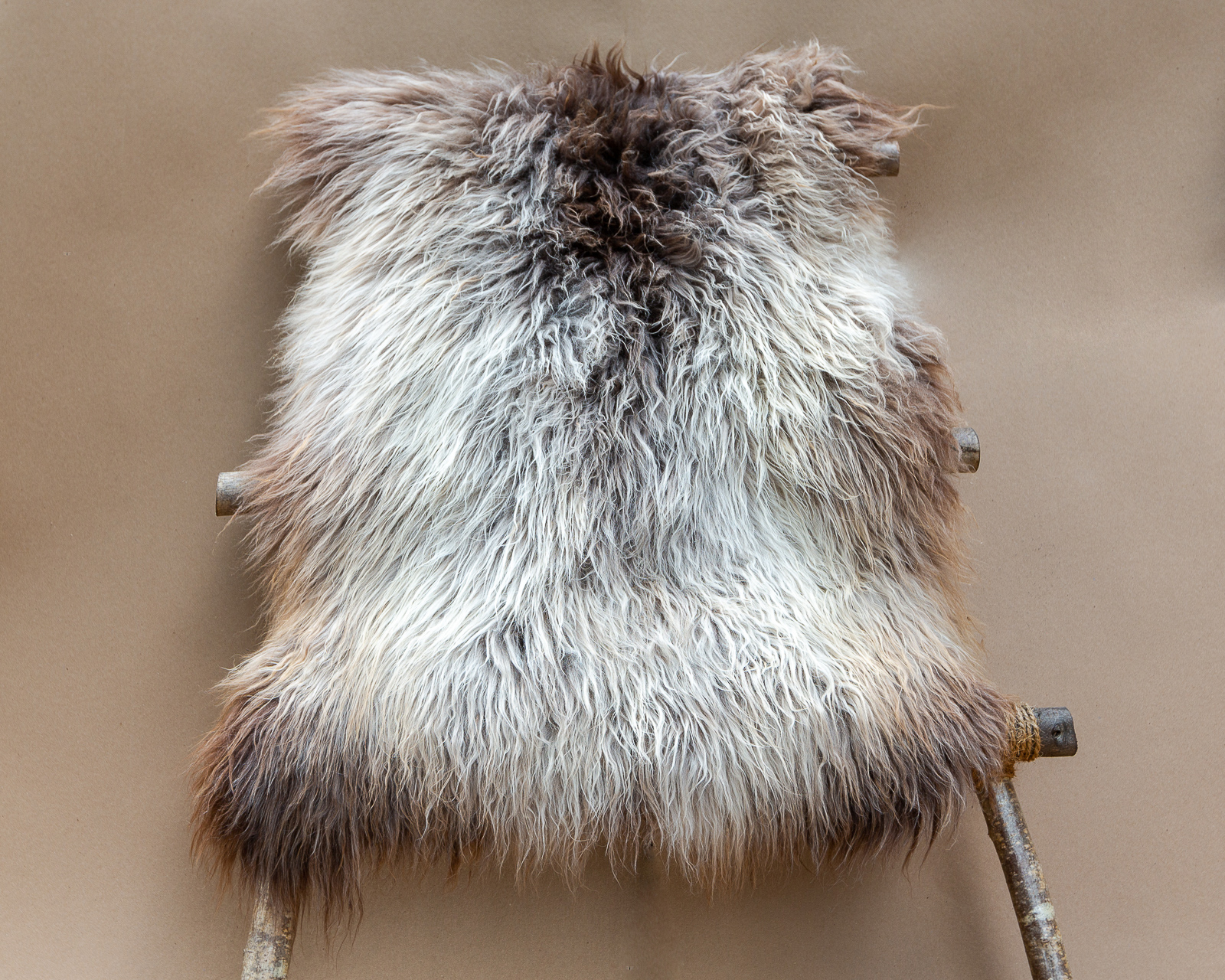sheepskin_SZ-08_sheep.style_NT4A0744.jpg
