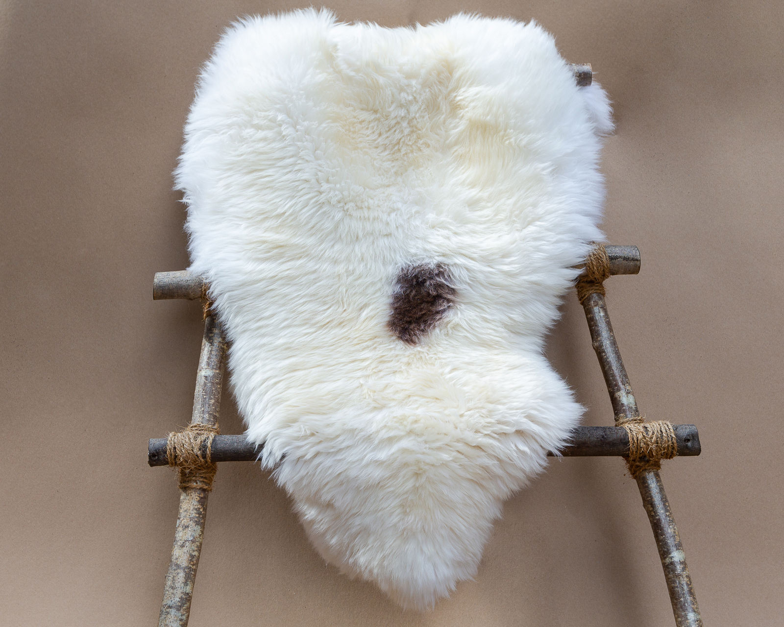 sheepskin_PL-01_sheep.style_NT4A0738.jpg