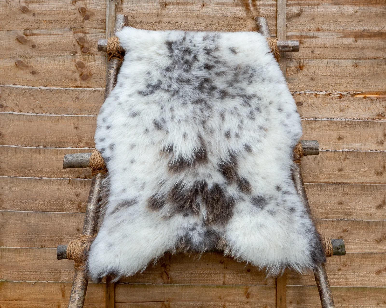 sheepskin_LG-30_sheep.style_NT4A0726.jpg