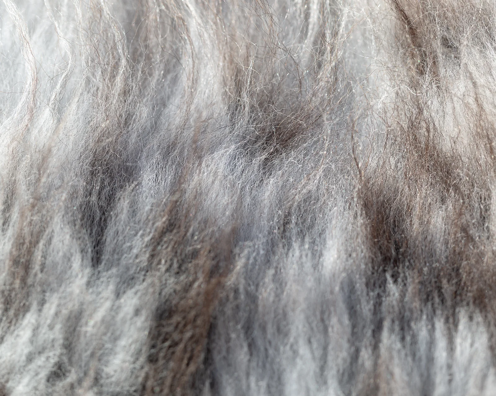 sheepskin_LG-30_sheep.style__MG_9082.jpg