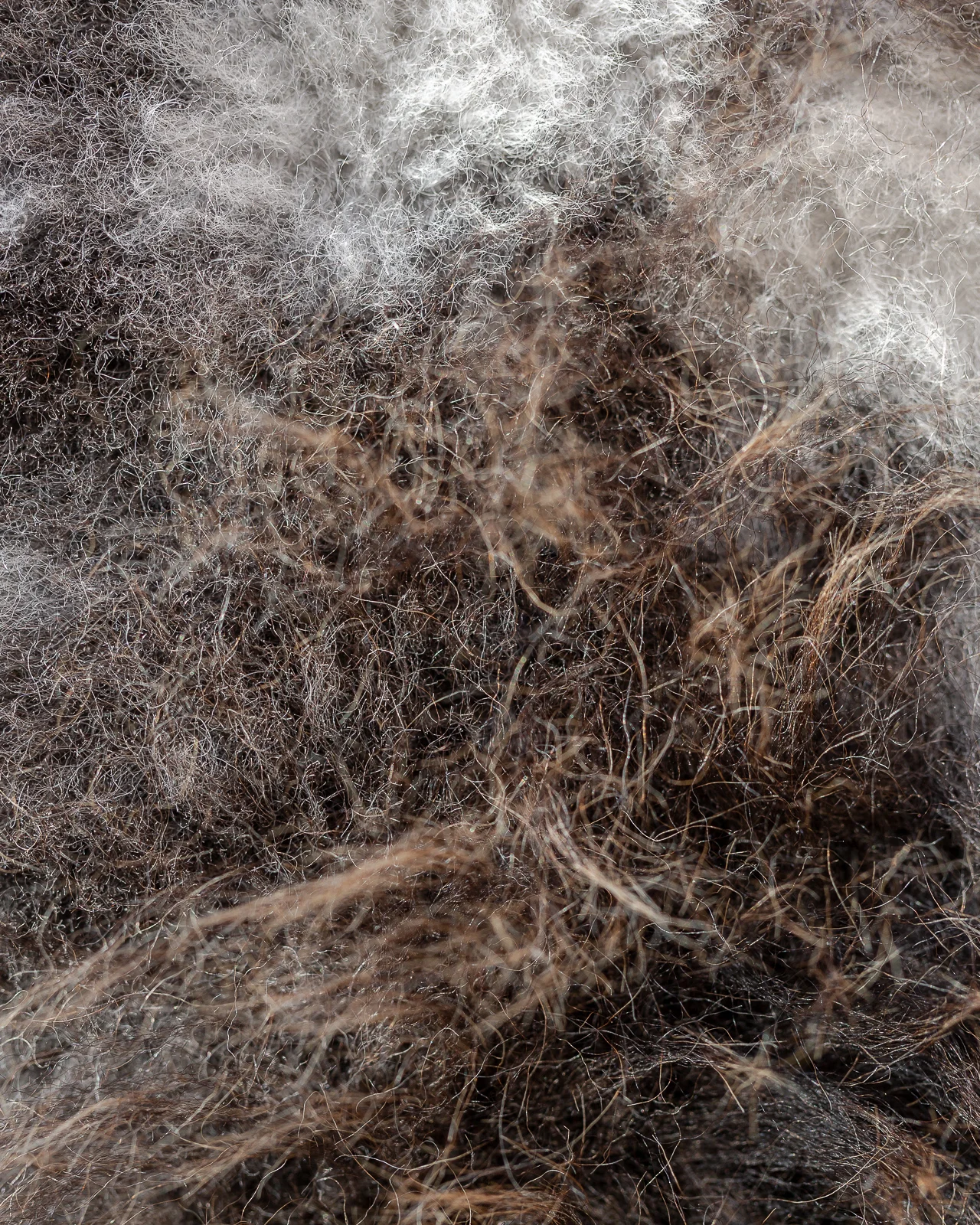 sheepskin_LG-30_sheep.style__MG_9084.jpg