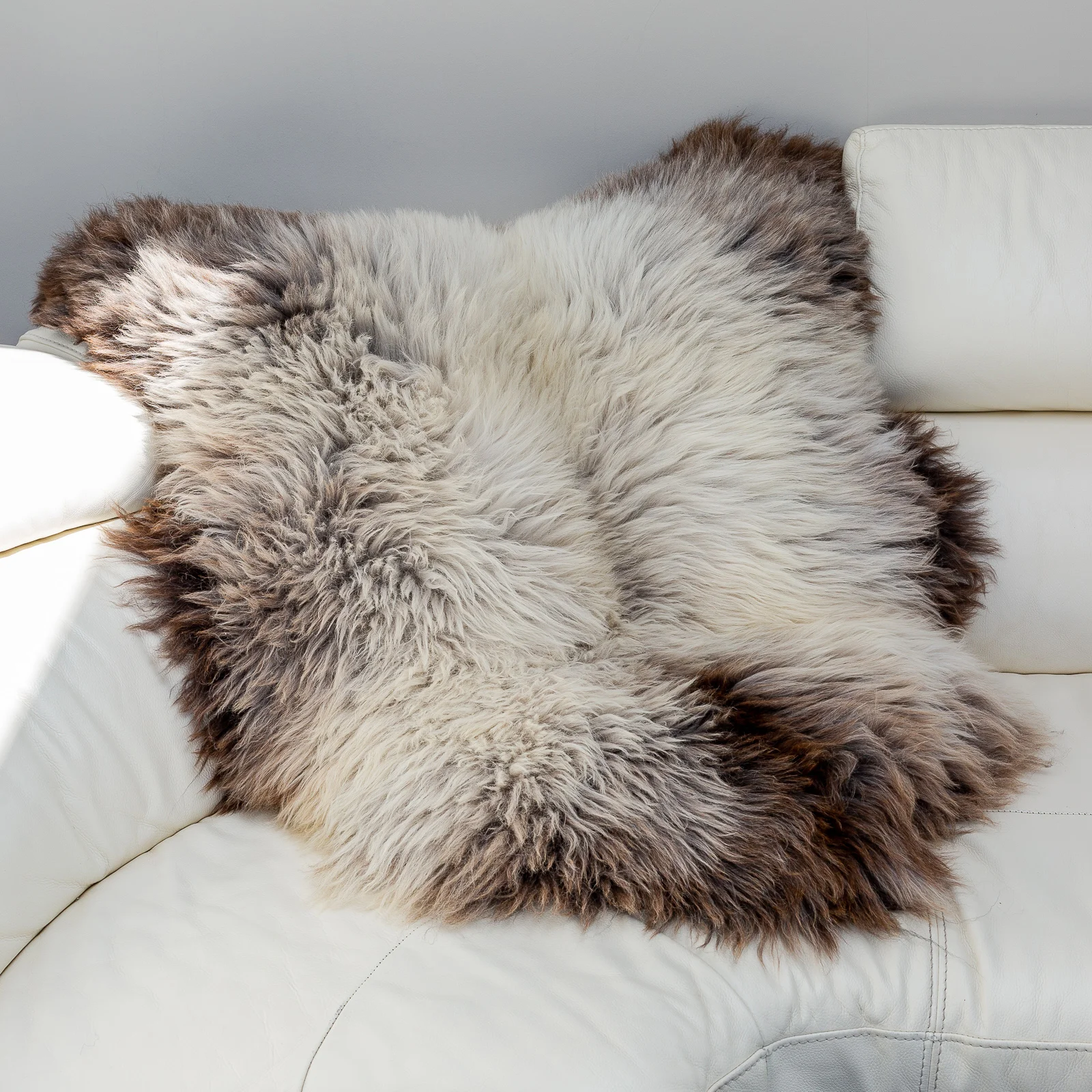sheepskin_SZ-03-sqr_sheep.style__MG_0118.jpg
