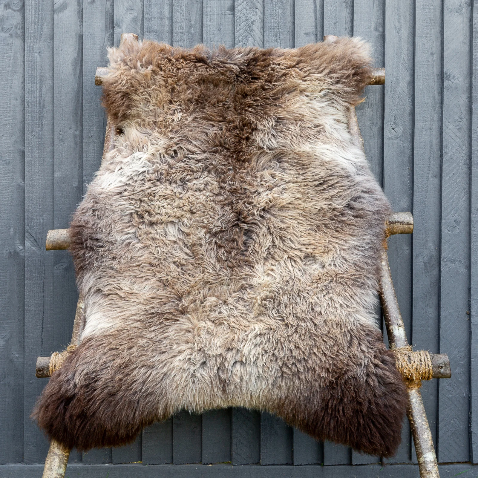 sheepskin_KK-01-sqr_sheep.style_NT4A0959.jpg