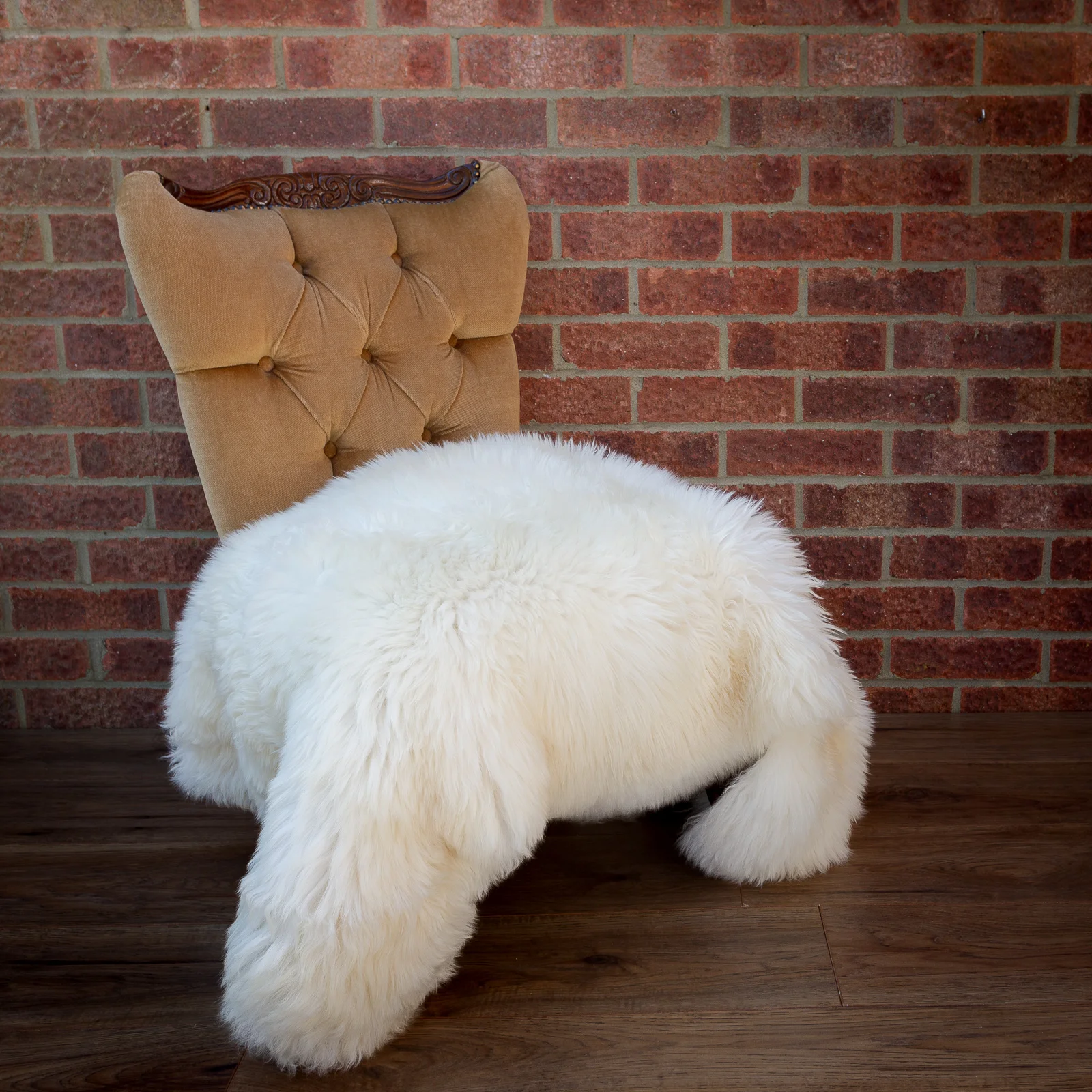 sheepskin_rug_sheep.style_white115_NT4A6666.jpg