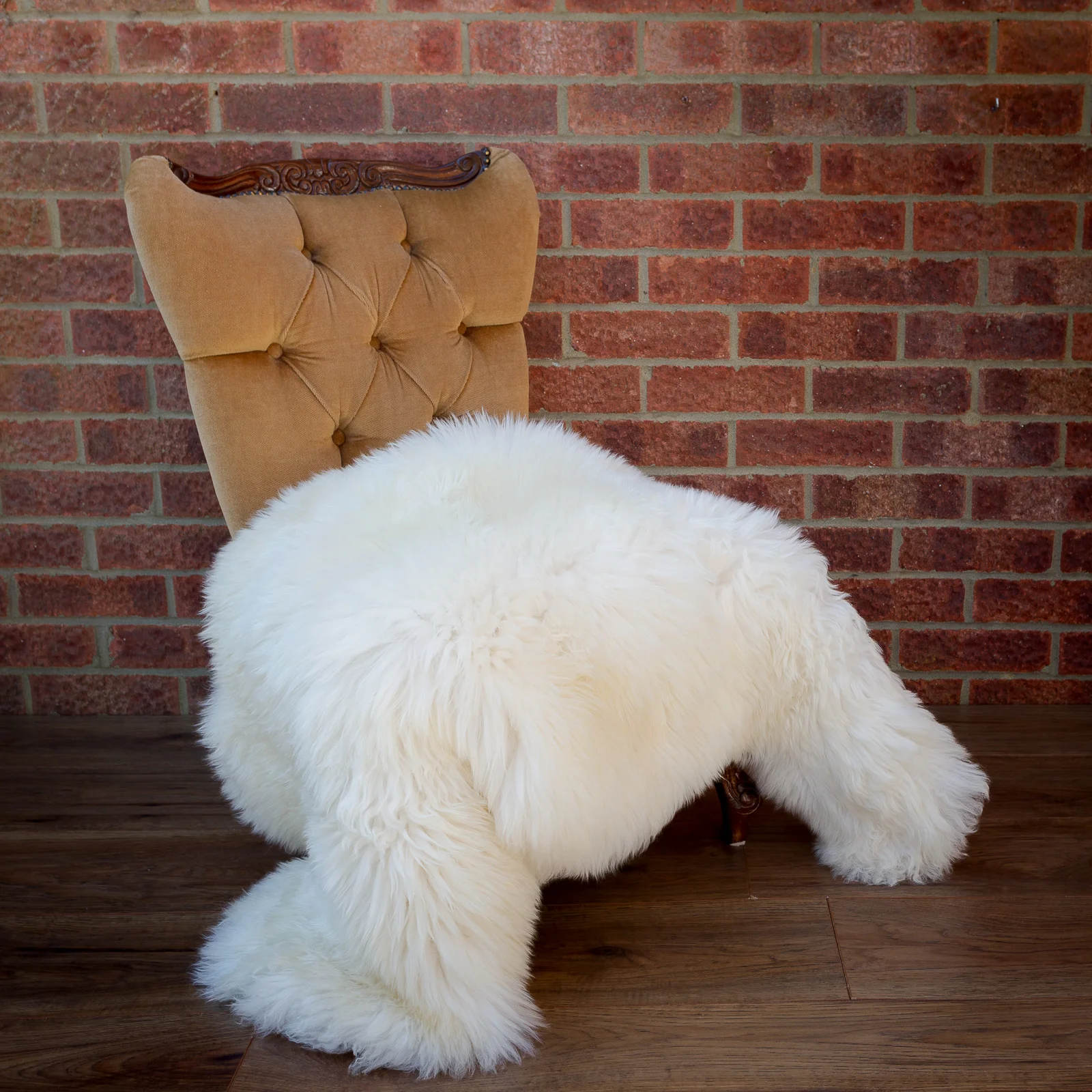 sheepskin_rug_sheep.style_white115_NT4A6668.jpg