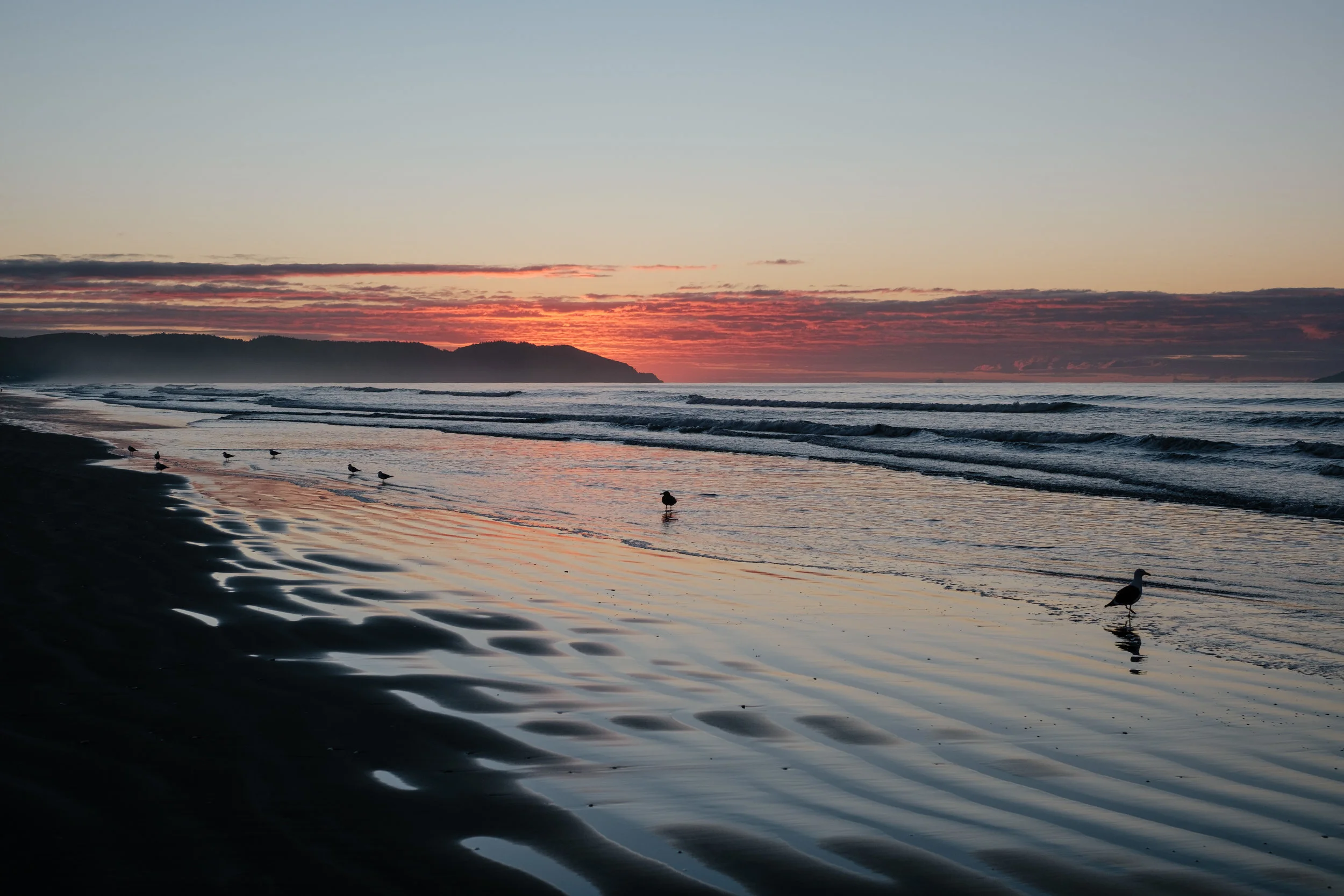 DSCF6281-1.jpg