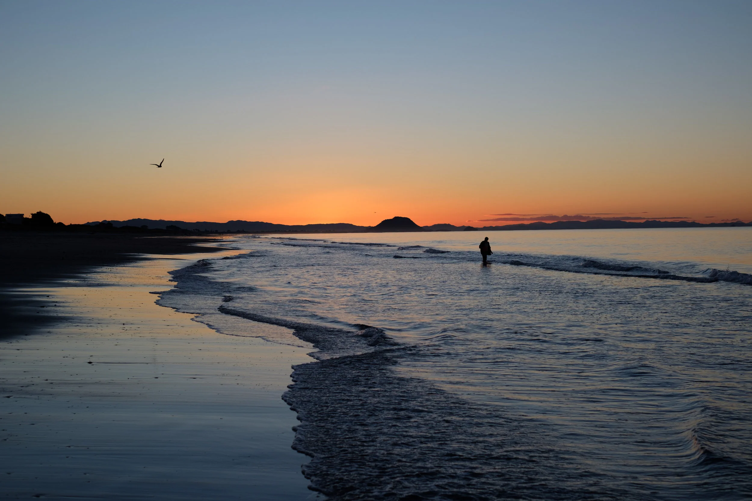 DSCF6443-1.jpg