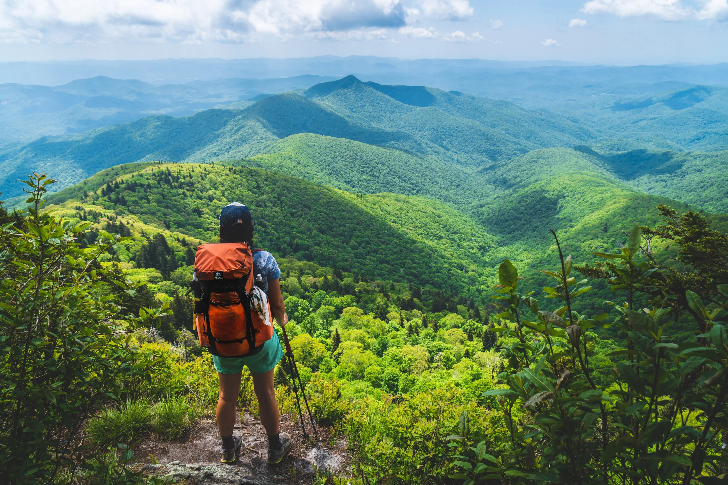 FOREST KEEPER LEAD PHOTO.JPG