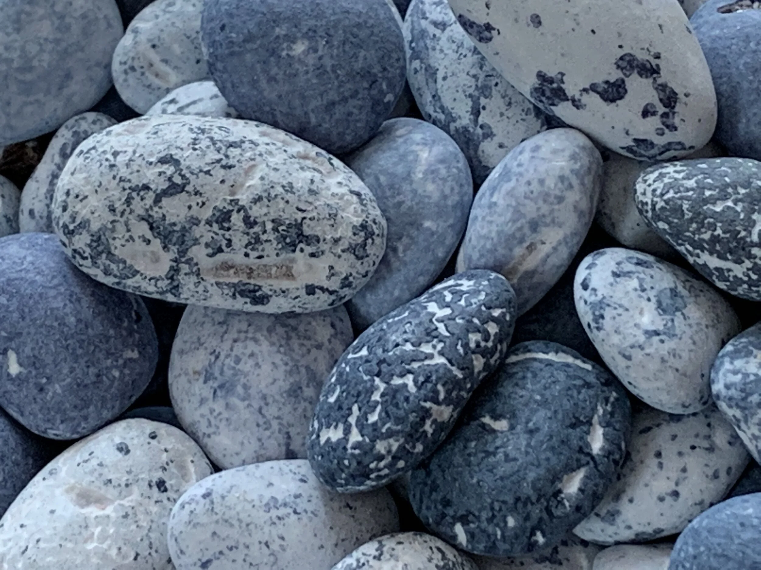 Choc Shore Rocks - Close Up.jpeg