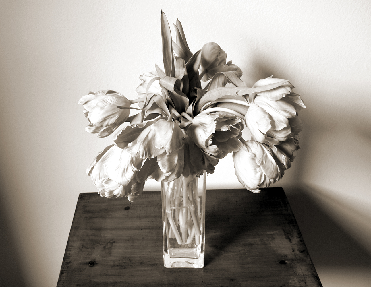 Still-Life-tulips-on-table.jpg