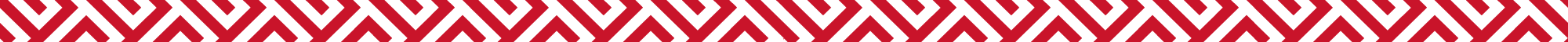 FINAL red bar.png