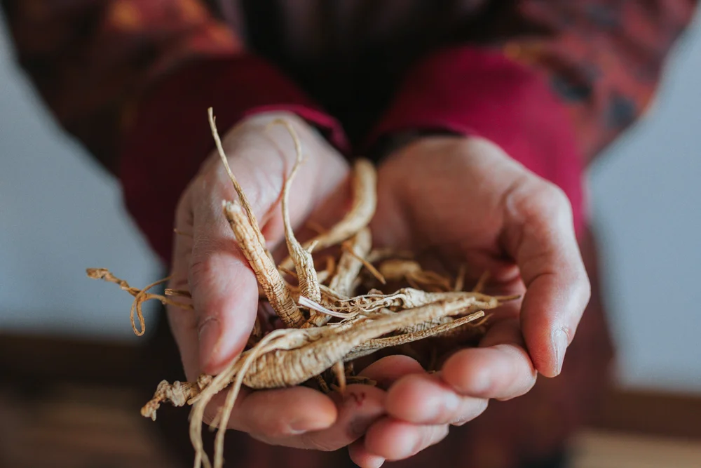 长白山野山人参－每支5克