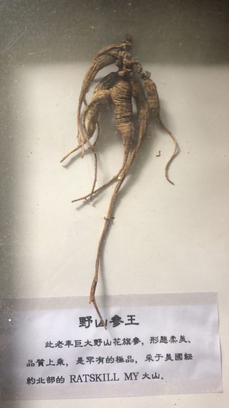 (图片来源:吴明杰藏品)