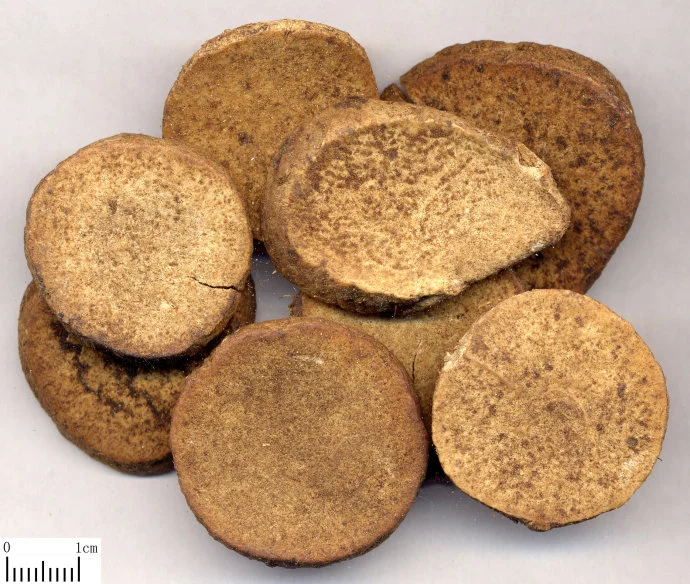 Traditional Chinese Medicine: Ze Xie