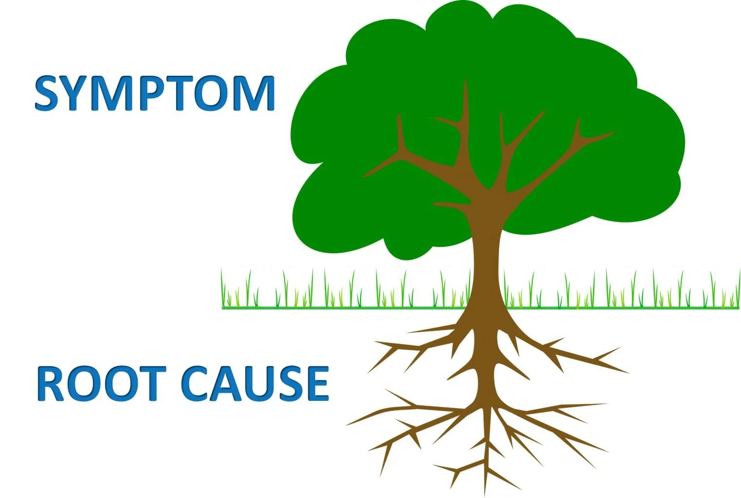 root cause.jpg