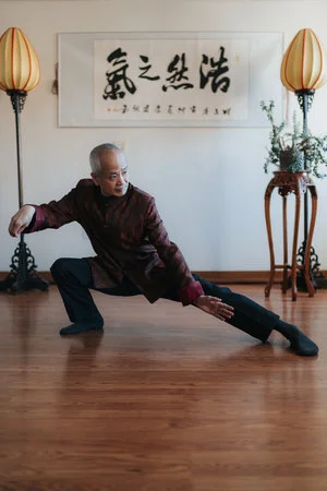 Tai Chi Long Form Sequence (108 forms)