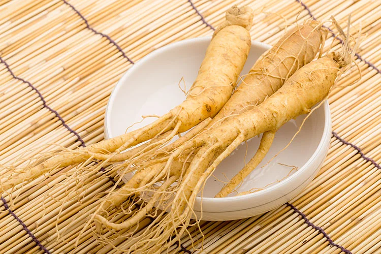 花旗参.jpg