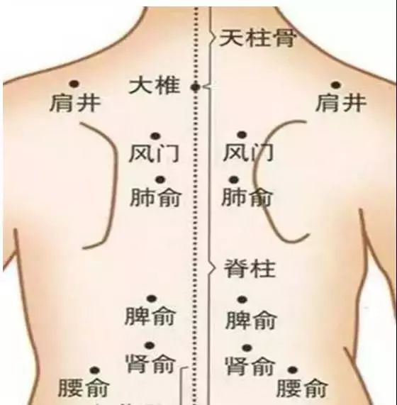 背部穴位.jpeg