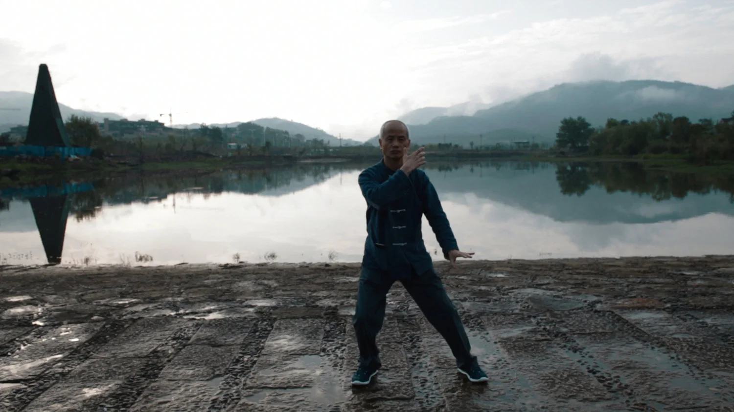 Tai Chi Short Form Sequence (24-forms) 