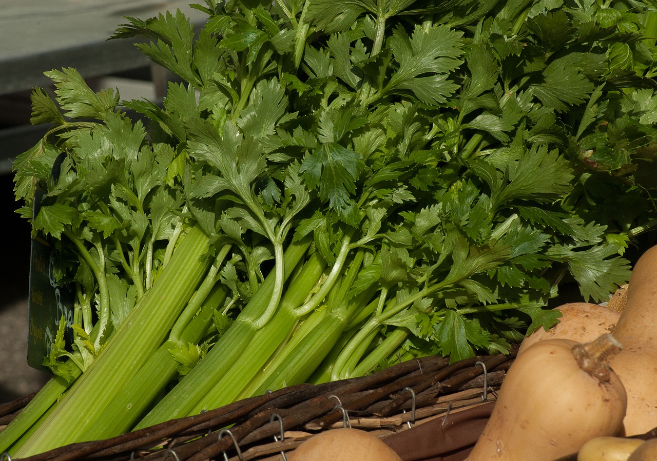 celery.jpg