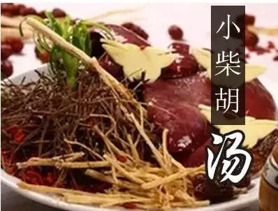 小柴胡汤.jpg