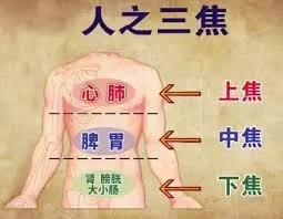 (转载) 上焦火、下焦寒，根本原因在于中焦不通！（附疏通方法）