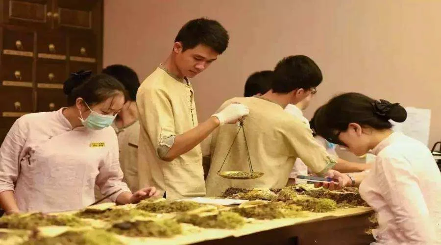 中医学徒.jpeg