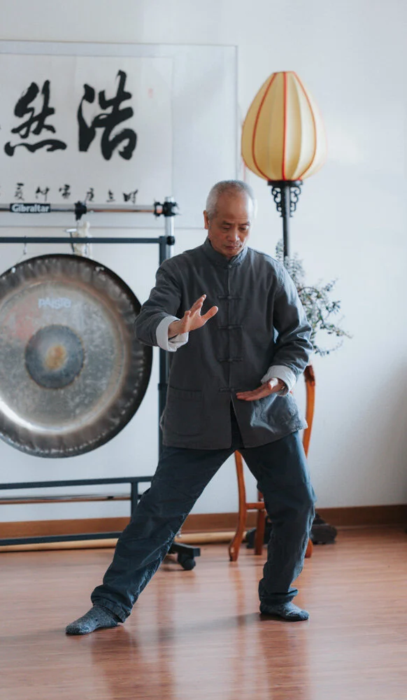 Fengyang Tai Chi Zhuang (standing meditation)