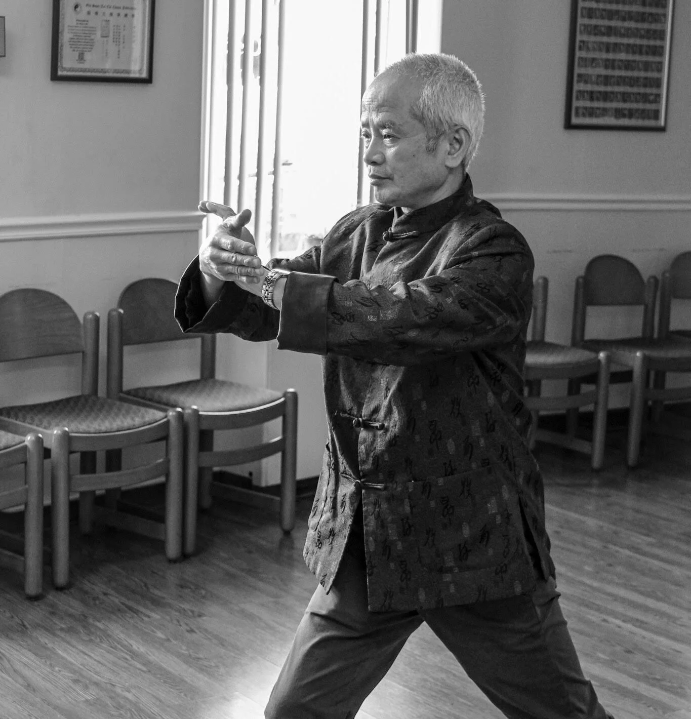 Fengyang Tai Chi Lesson 4 (left view)
