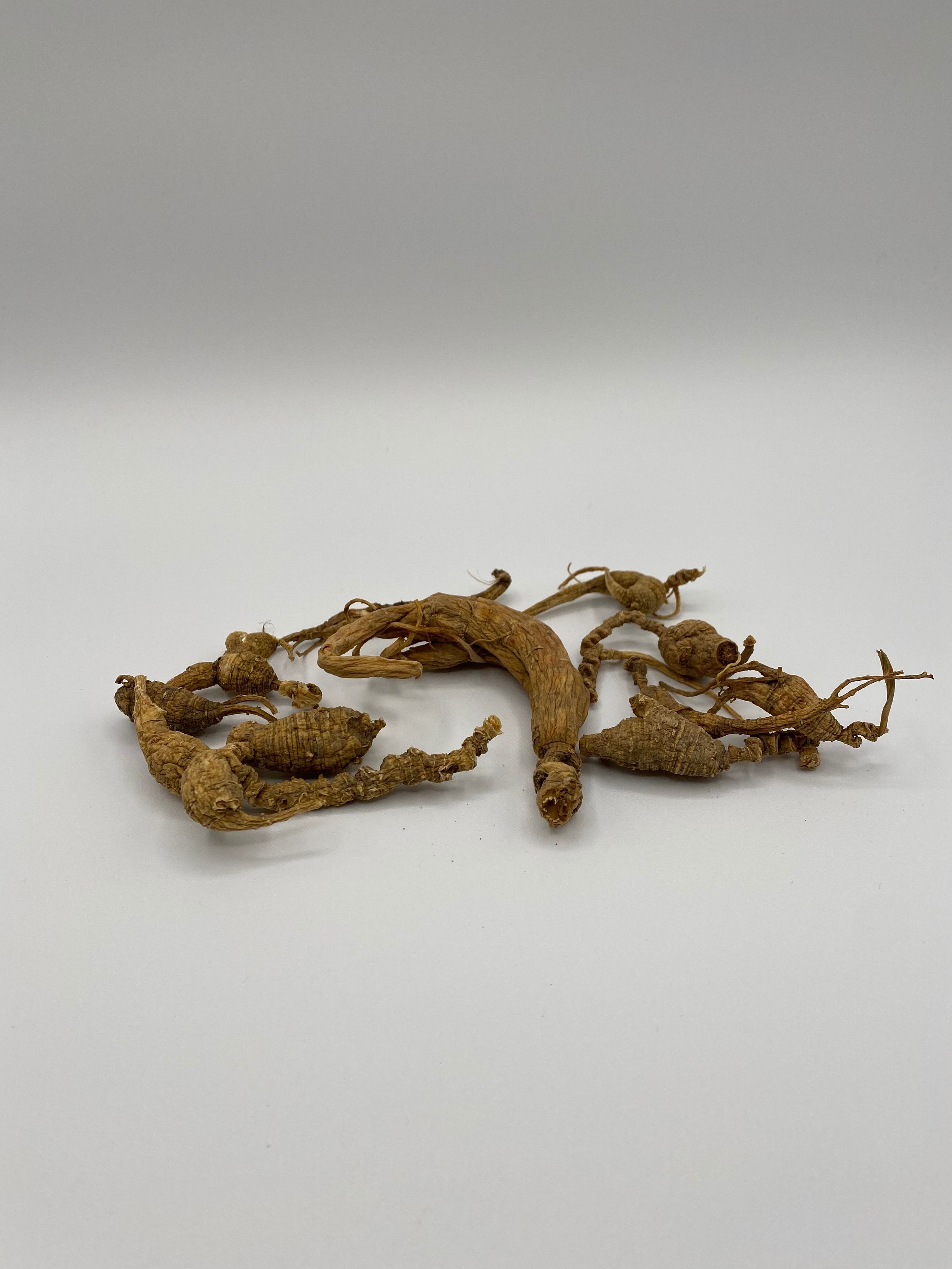ginseng.jpeg