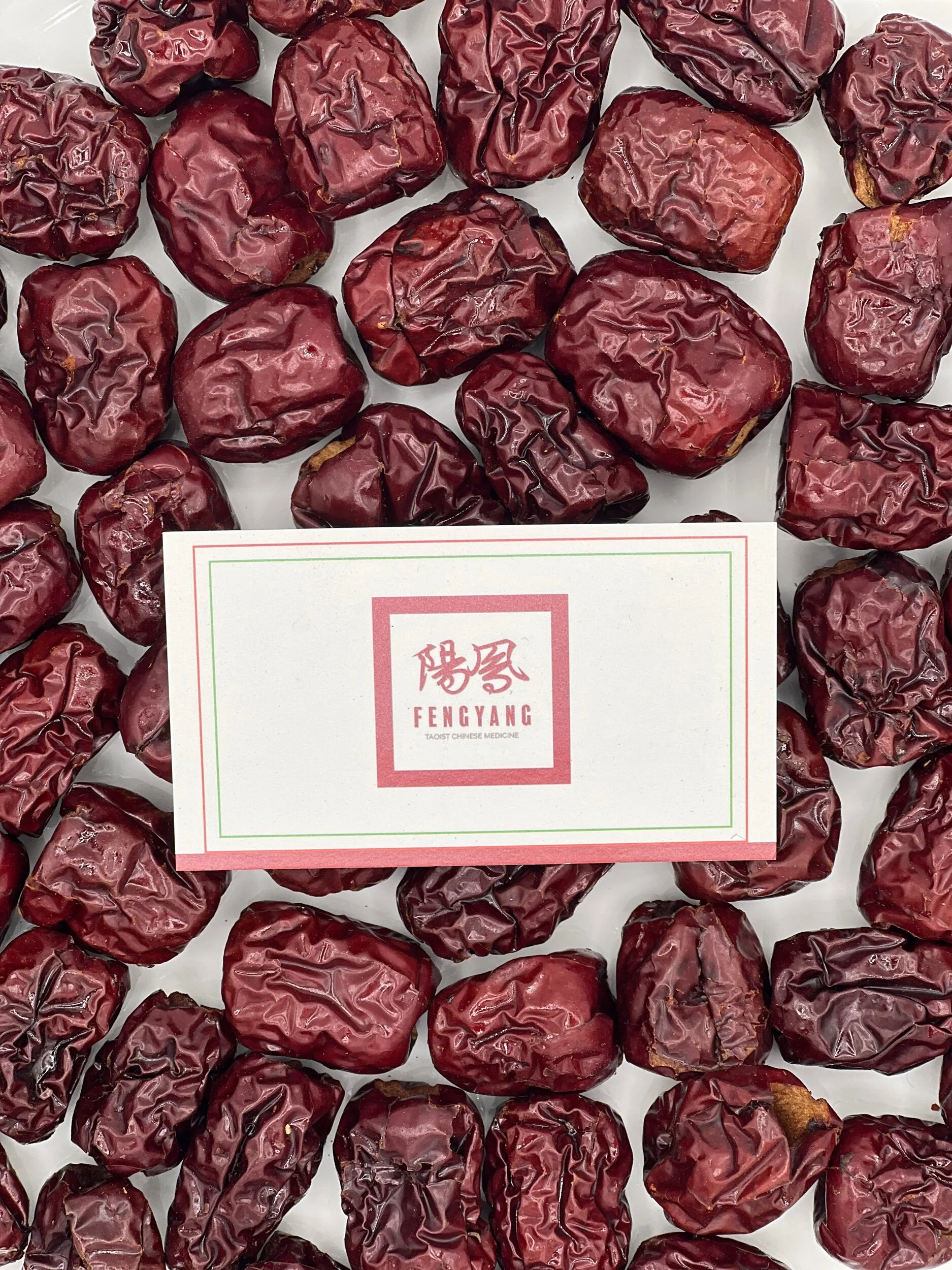 AC2024CC-48C9-495E-88C9-CC9DF9256A2D