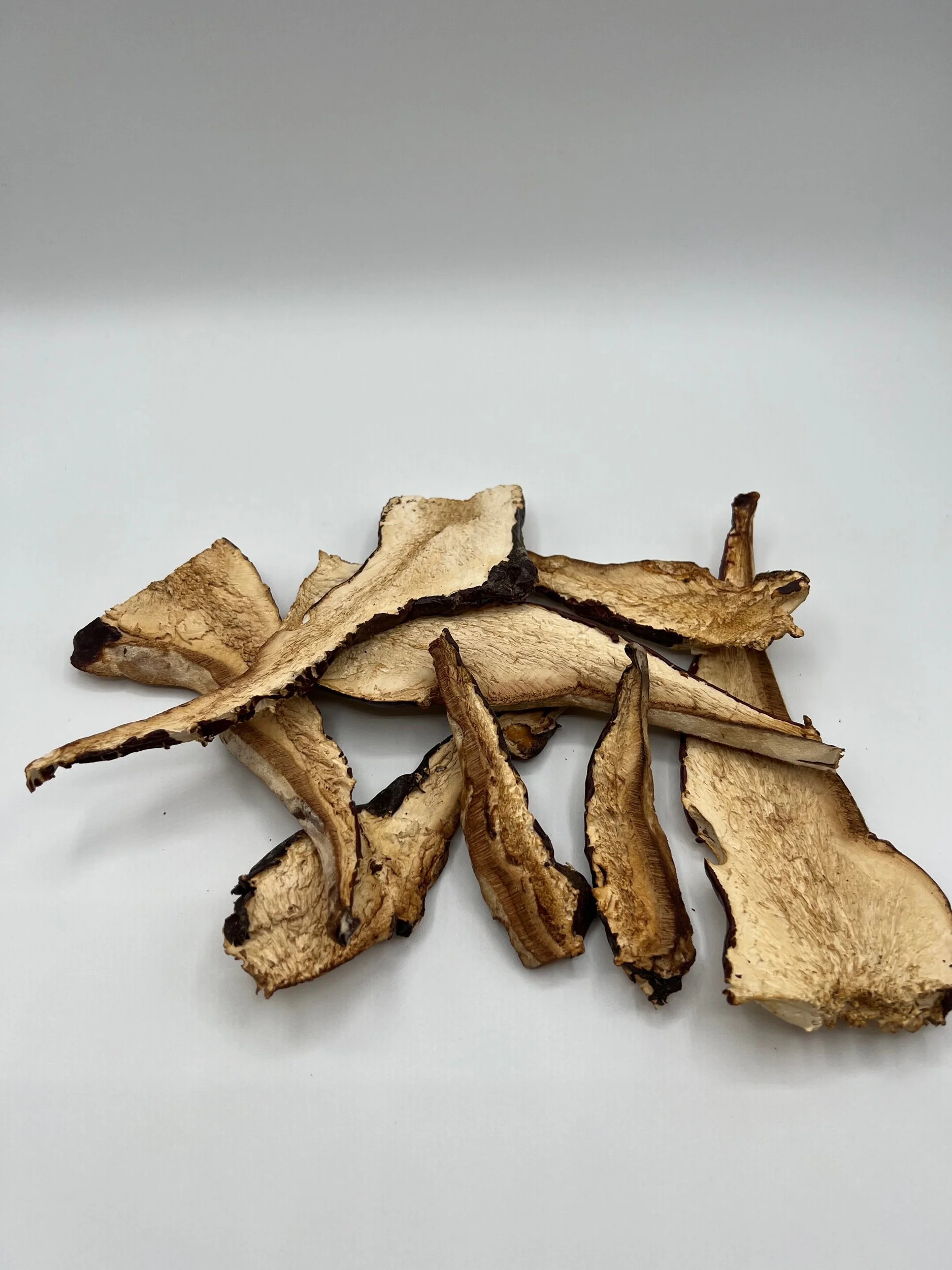 5766BFF1-CA9F-4F20-97F3-44C531DB207A