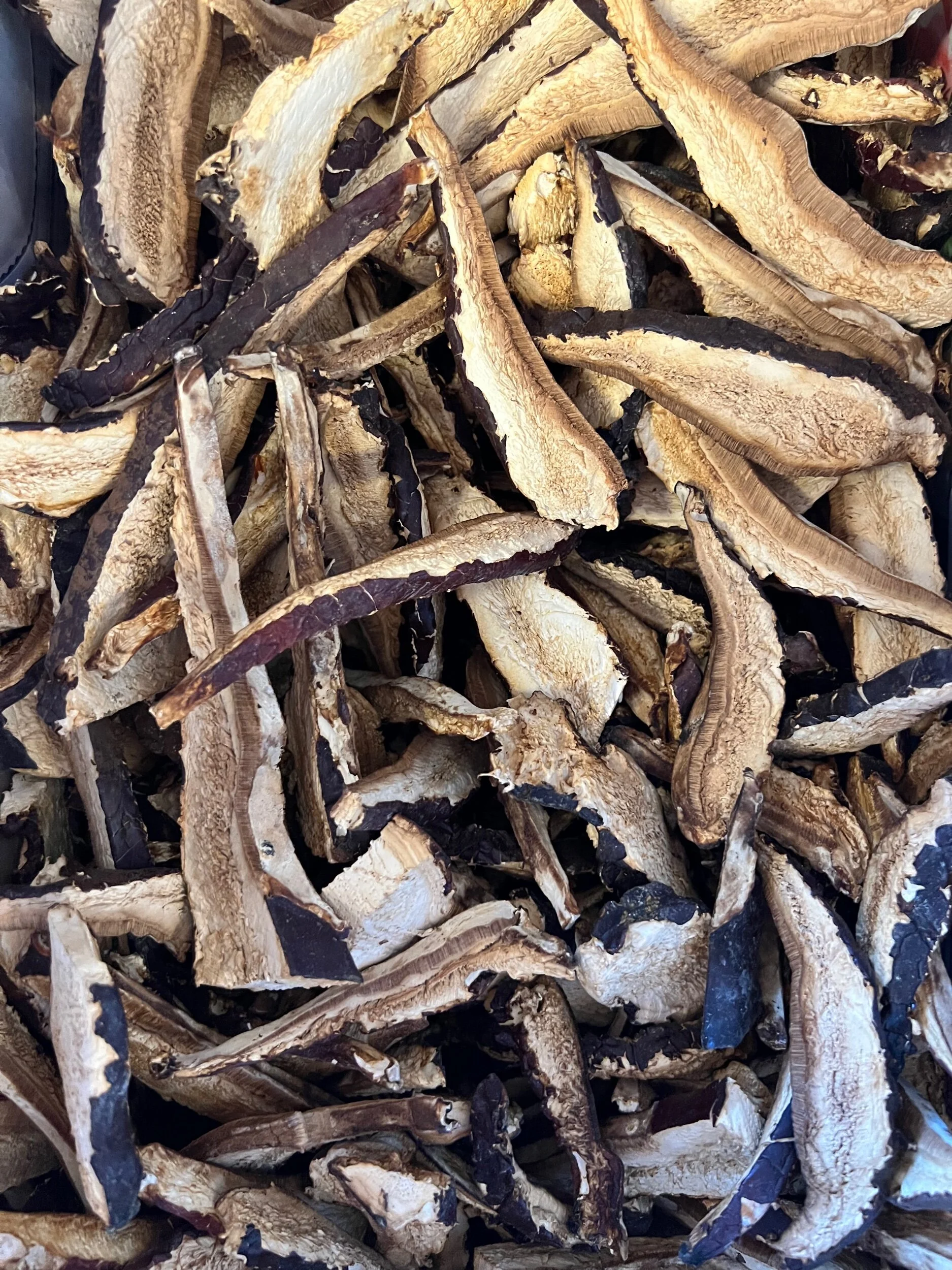 CBC95E79-06CF-42F5-8671-896F63165225