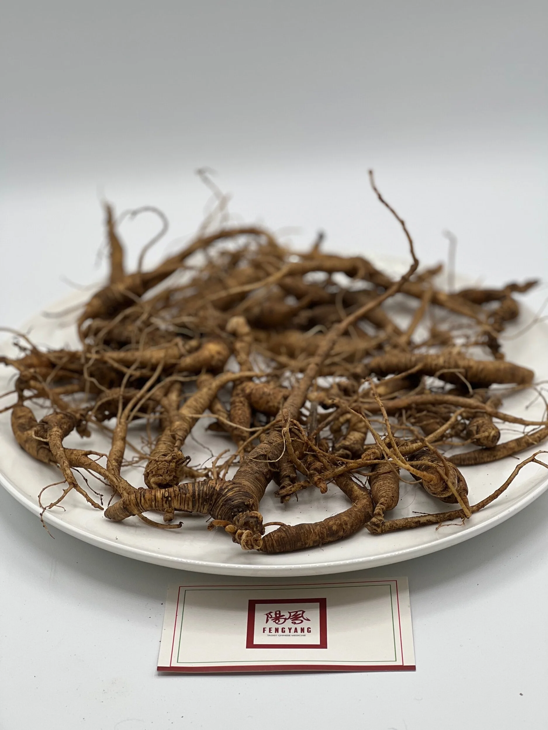 2E04467A-F1D5-4B4B-9DE7-5C92FE873BD0