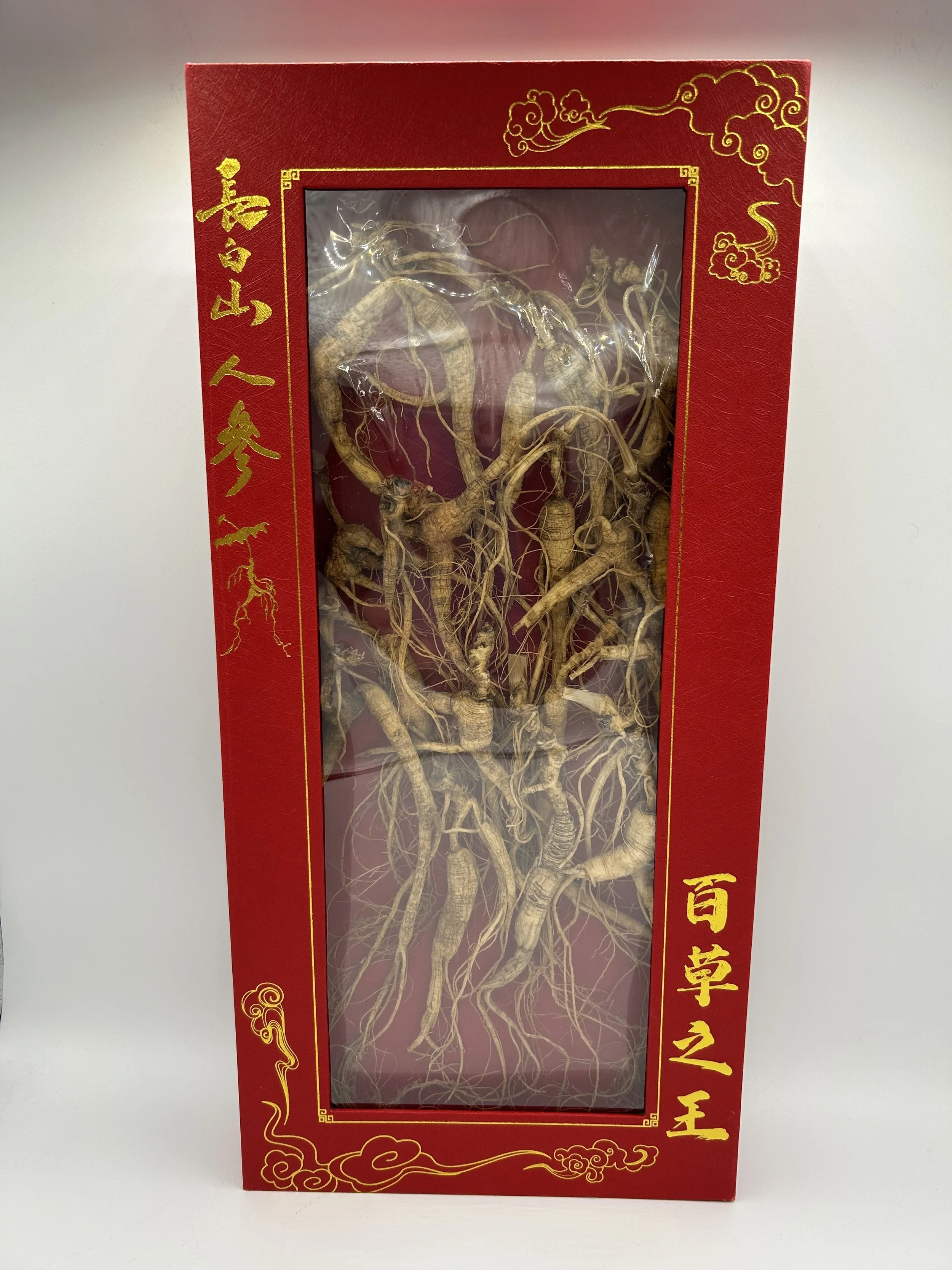 forest ginseng.jpg