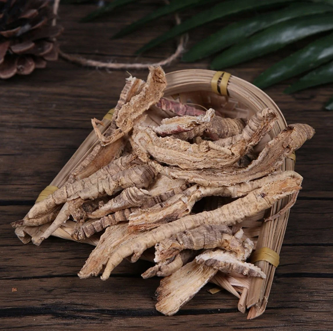 Sang Ji Sheng (Mulberry Mistletoe) for Anti-Aging, Fertility, Immunity, and more!