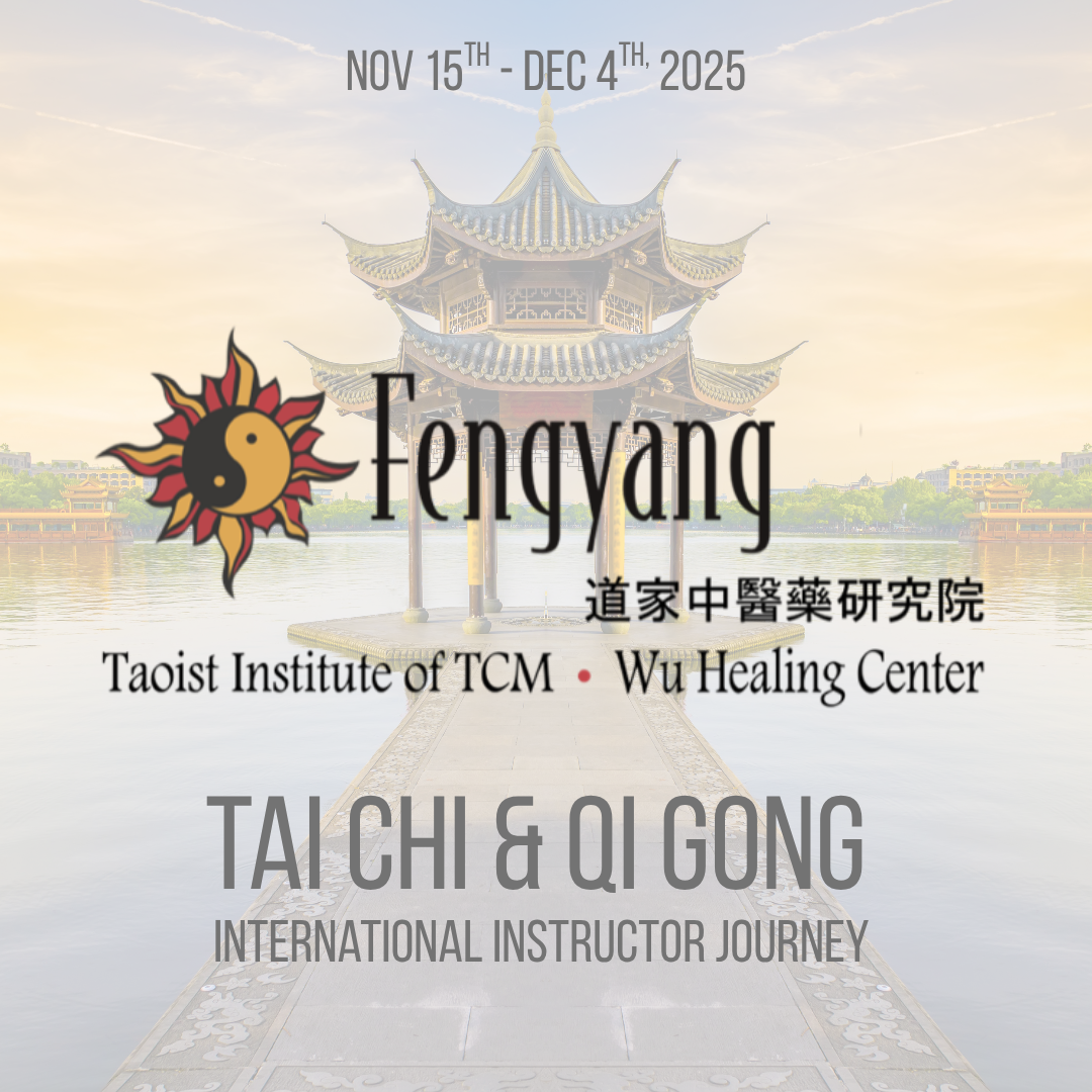 Fengyang Tai Chi & Qi Gong International Certification Journey