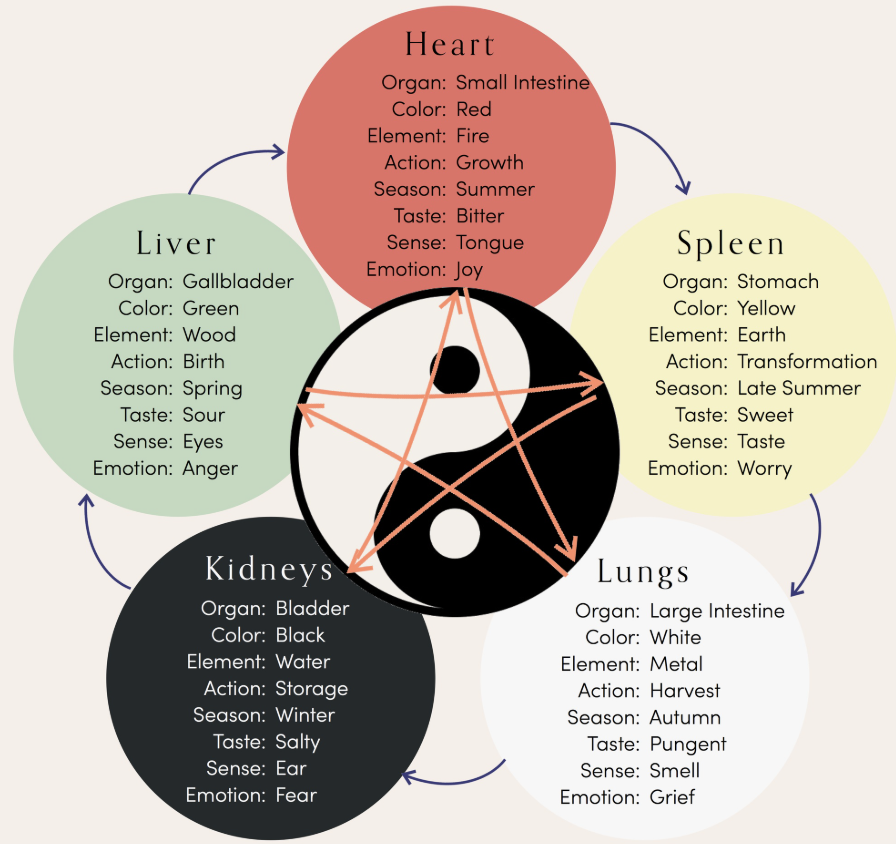 Spleen Deficiency &amp; Dampness — The Root Cause of Auto-Immune Disease