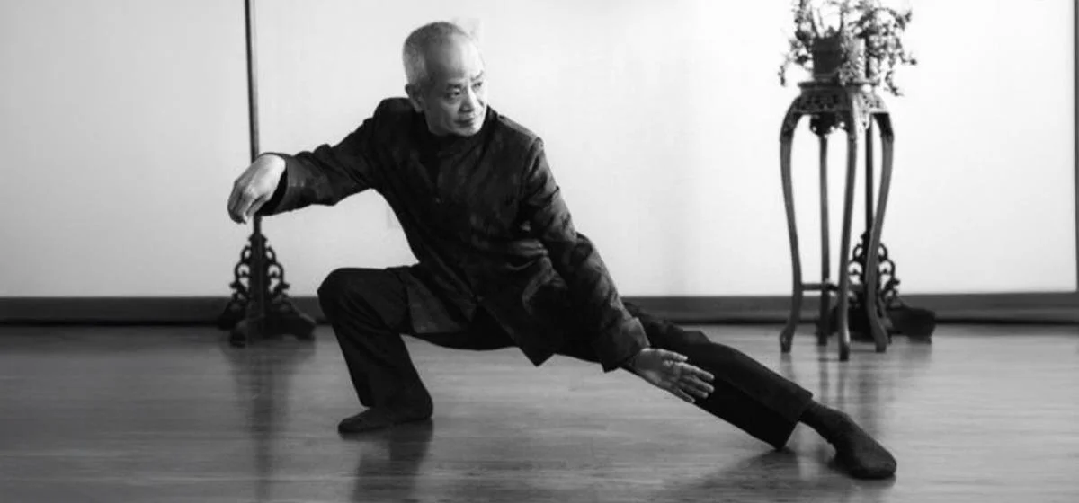 Fengyang Tai Chi & Qigong for Longevity