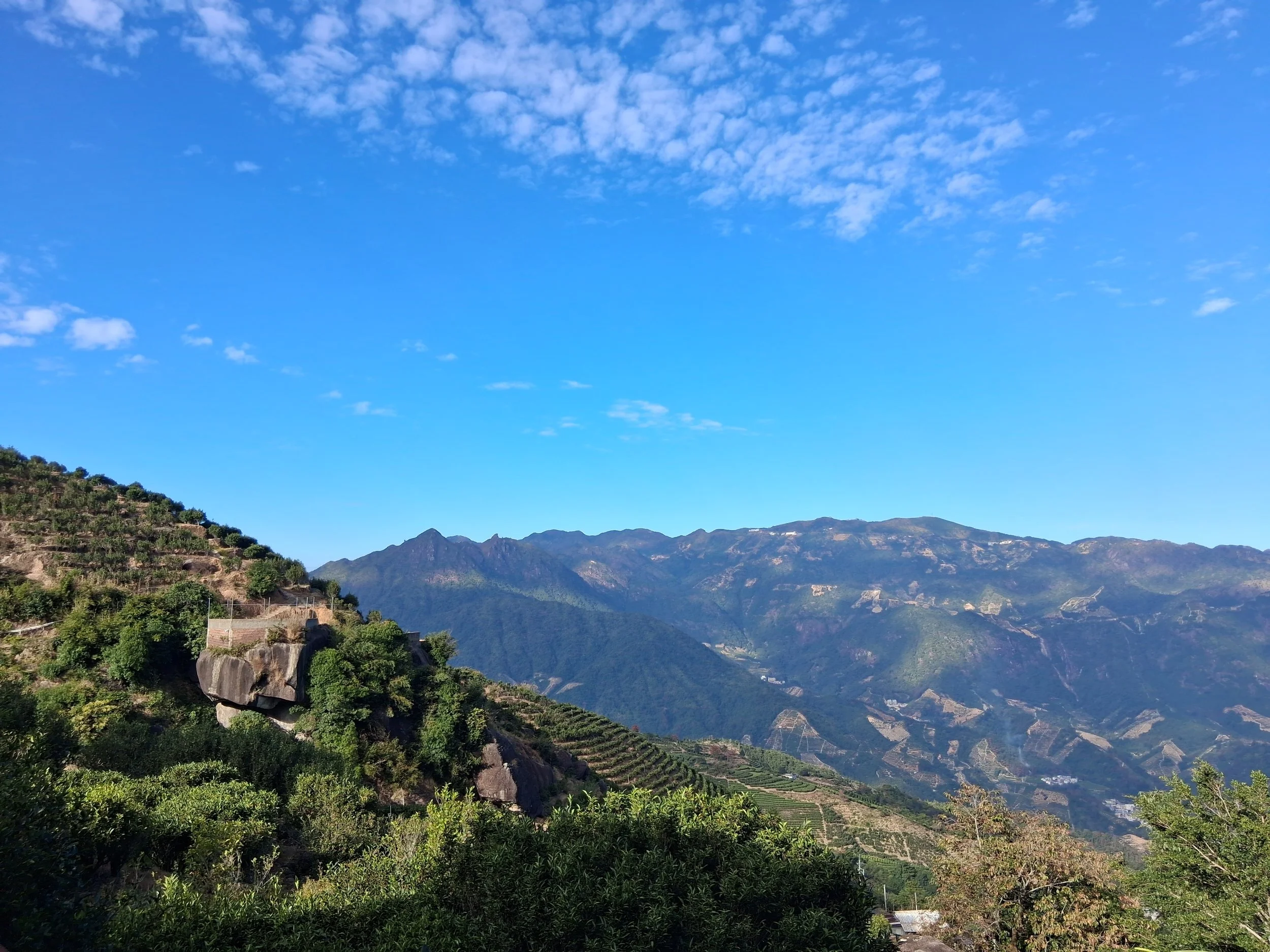 Visiting Phoenix Mountain - Hosted by a Local Tea Farming Family