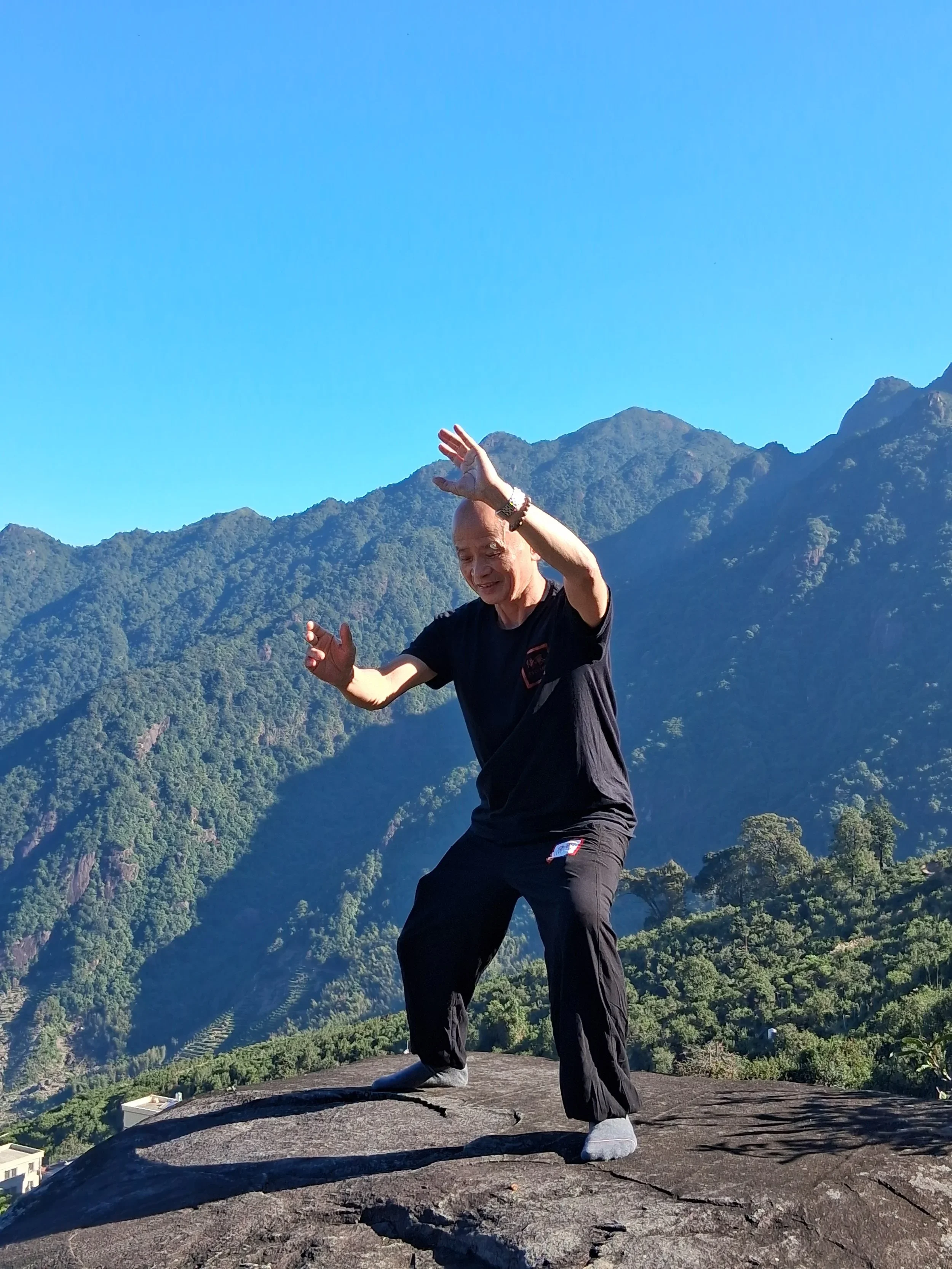 Fengyang Tai Chi Eight Forms with Dr. Wu (Online)