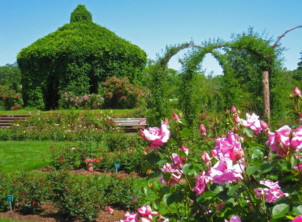 Outdoor Free Qi Gong Class – Summer Series